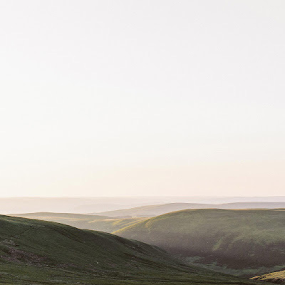 Meet your Posher, Rachel wood